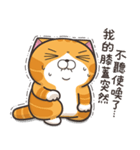 ランラン猫 13 (台湾版)（個別スタンプ：35）