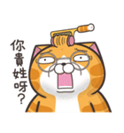 ランラン猫 13 (台湾版)（個別スタンプ：36）