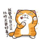 ランラン猫 13 (台湾版)（個別スタンプ：37）