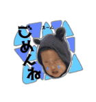 るたんプ（個別スタンプ：9）