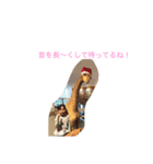 ももほの6（個別スタンプ：4）