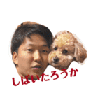 みんな大好き横山くん2（個別スタンプ：10）