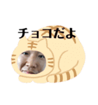 みんな大好き横山くん2（個別スタンプ：15）