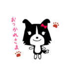ボーダーコリーのティーダちゃん（個別スタンプ：4）