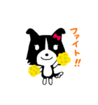 ボーダーコリーのティーダちゃん（個別スタンプ：10）