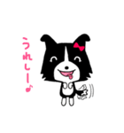 ボーダーコリーのティーダちゃん（個別スタンプ：13）