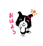 ボーダーコリーのティーダちゃん（個別スタンプ：14）
