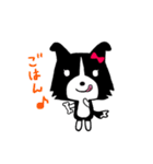 ボーダーコリーのティーダちゃん（個別スタンプ：15）