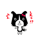 ボーダーコリーのティーダちゃん（個別スタンプ：21）