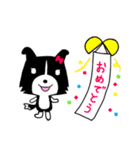 ボーダーコリーのティーダちゃん（個別スタンプ：29）