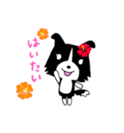 ボーダーコリーのティーダちゃん（個別スタンプ：32）