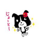 ボーダーコリーのティーダちゃん（個別スタンプ：33）
