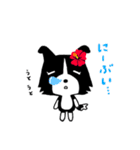 ボーダーコリーのティーダちゃん（個別スタンプ：35）