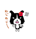 ボーダーコリーのティーダちゃん（個別スタンプ：40）