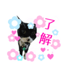 むむ ちゃん（個別スタンプ：3）
