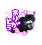 むむ ちゃん（個別スタンプ：4）