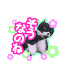 むむ ちゃん（個別スタンプ：5）