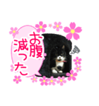 むむ ちゃん（個別スタンプ：7）