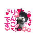 むむ ちゃん（個別スタンプ：8）