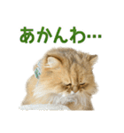 しょんぼり猫「ふーちゃん」2（個別スタンプ：22）