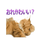 しょんぼり猫「ふーちゃん」2（個別スタンプ：39）