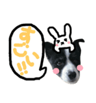 dog＆dog？1
りんちゃん（個別スタンプ：11）