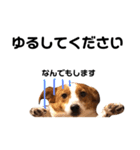 愛犬ラッキーくんの気持ちスタンプその②（個別スタンプ：13）