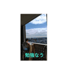 taiyo stickers（個別スタンプ：4）