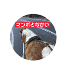 久万うまスタンプ 冬（個別スタンプ：4）