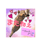Chami's diary life❤︎①（個別スタンプ：16）