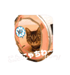 Chami's diary life❤︎①（個別スタンプ：20）