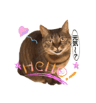 Chami's diary life❤︎①（個別スタンプ：21）