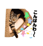 Chami's diary life❤︎①（個別スタンプ：22）