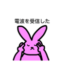 カードゲームうさぎ（個別スタンプ：3）