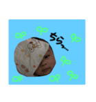 はる君1（個別スタンプ：1）
