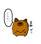 むきりょくぽめねこ（個別スタンプ：1）