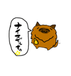 むきりょくぽめねこ（個別スタンプ：5）