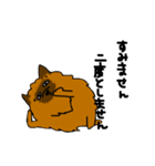 むきりょくぽめねこ（個別スタンプ：8）