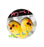 ネコだけじゃないよ（個別スタンプ：16）