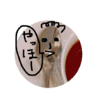 ネコだけじゃないよ（個別スタンプ：18）