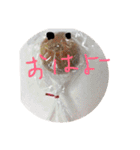 ネコだけじゃないよ（個別スタンプ：25）