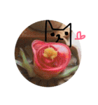 ネコだけじゃないよ（個別スタンプ：33）