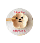 ネコだけじゃないよ（個別スタンプ：40）