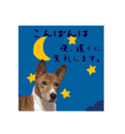 Luffy's stamp（個別スタンプ：6）