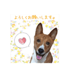Luffy's stamp（個別スタンプ：12）