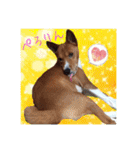 Luffy's stamp（個別スタンプ：13）