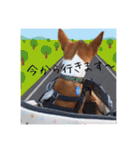 Luffy's stamp（個別スタンプ：14）