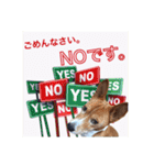 Luffy's stamp（個別スタンプ：19）