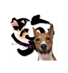 Luffy's stamp（個別スタンプ：34）
