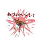 Luffy's stamp（個別スタンプ：38）